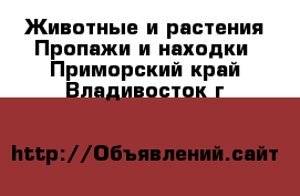 Животные и растения Пропажи и находки. Приморский край,Владивосток г.